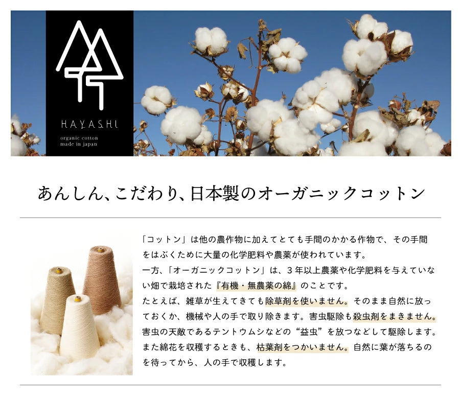 【在庫限り】オーガニックコットン 腹巻(2066)