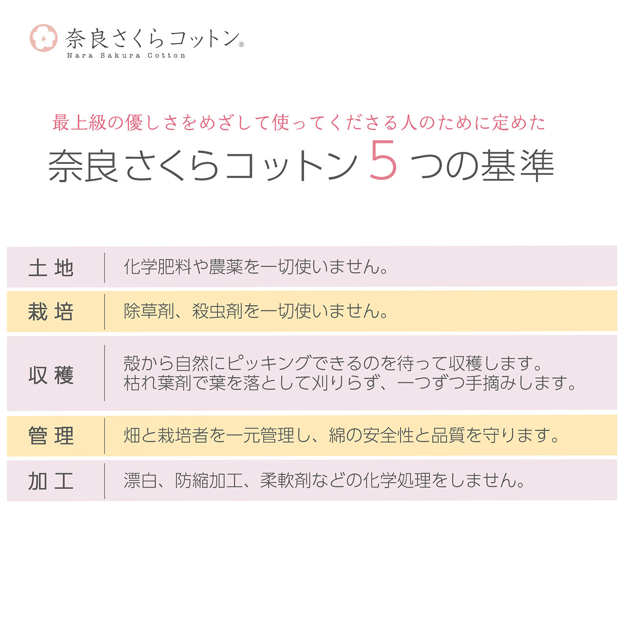 奈良さくらコットン ベビー靴下チューリップ(2201)