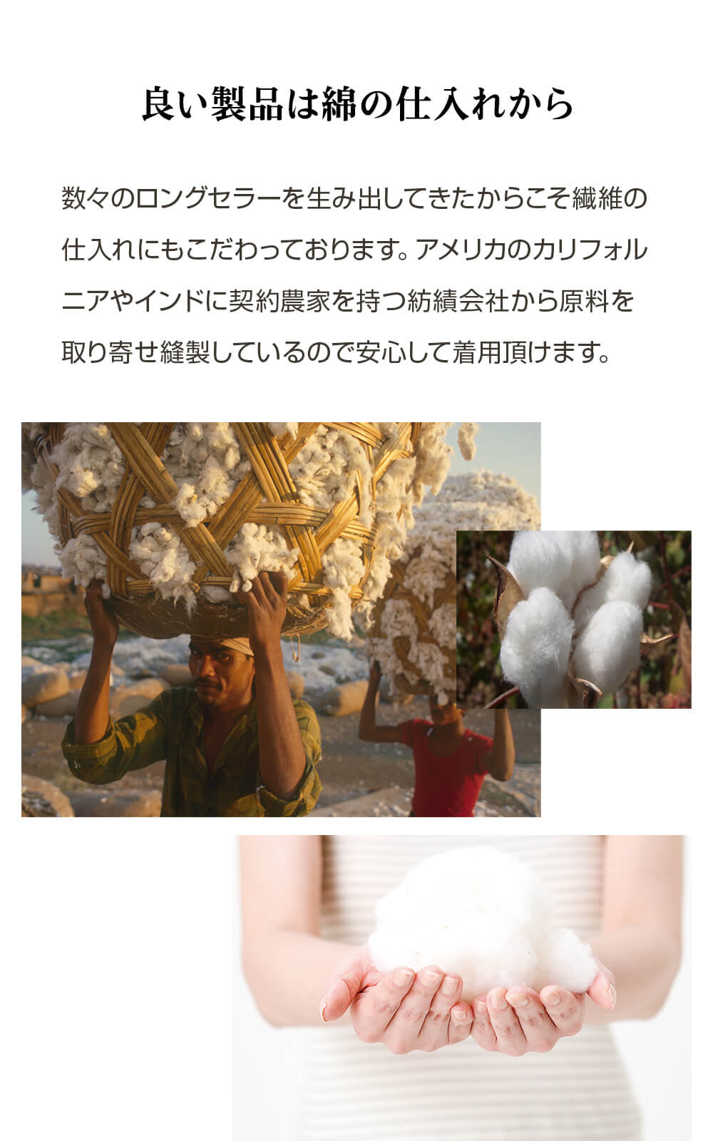 オーガニックコットン・ベビーソックス ( 2030_45_46_47_48)