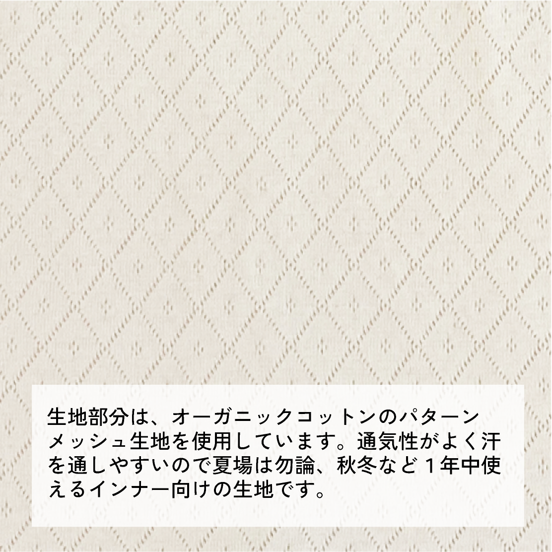 【綿100%日本製】オーガニックコットンショーツ (3枚セット)