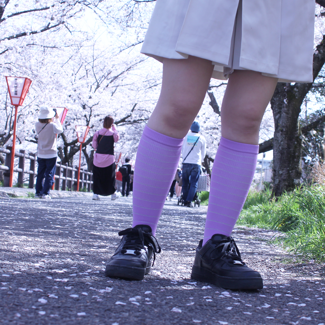 【在庫限り】カラー着圧ソックス