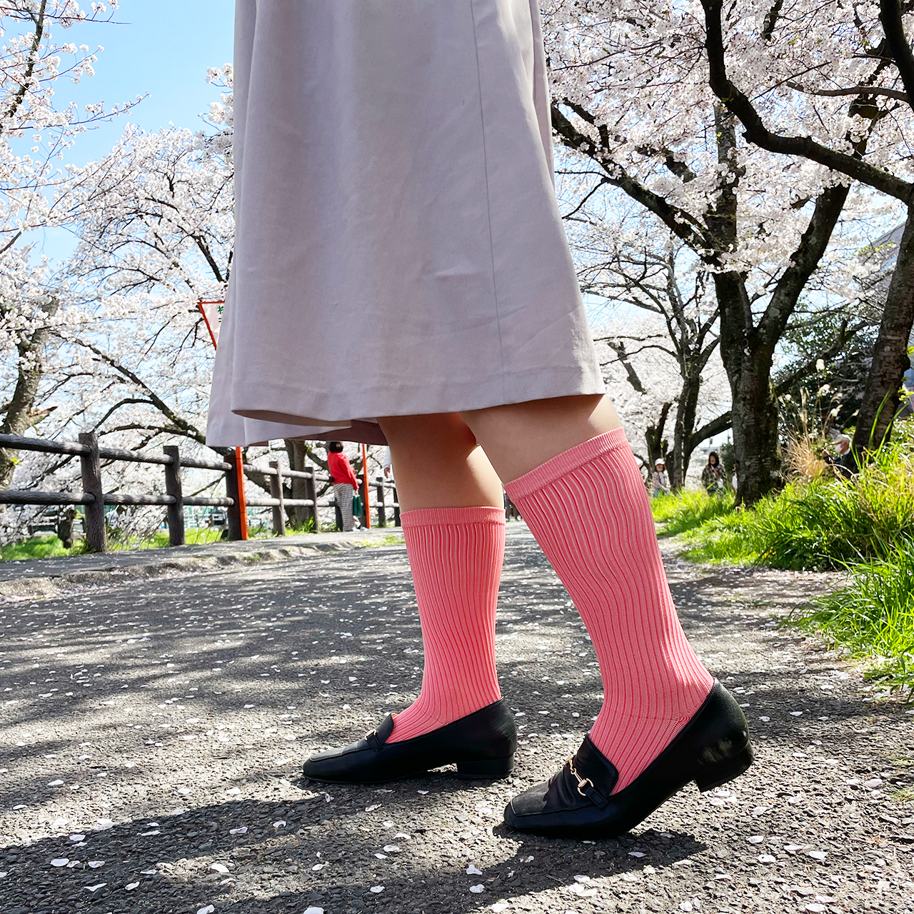 【在庫限り】カラー着圧ソックス