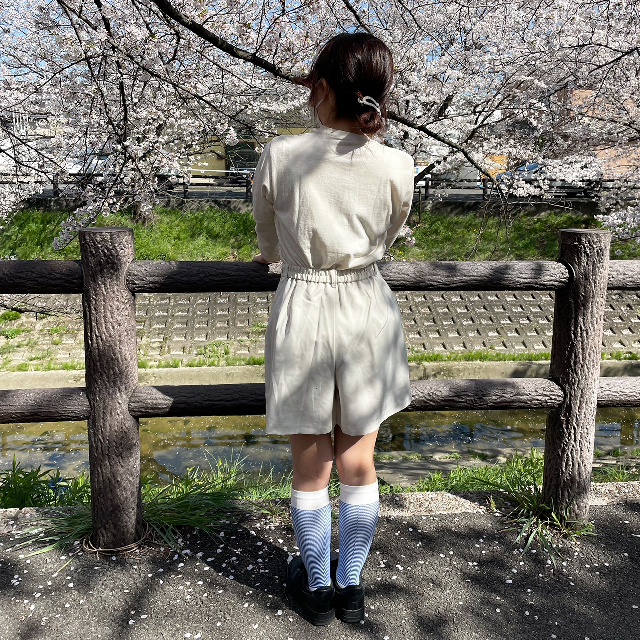 【在庫限り】春のビビッドカラー着圧ソックス