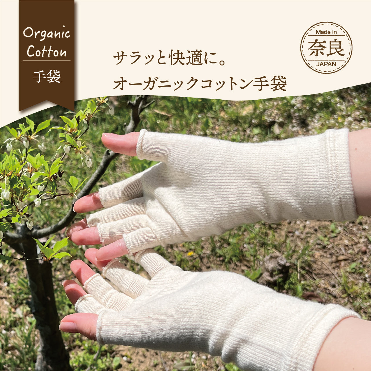 オーガニックコットン５本指手袋(8624)