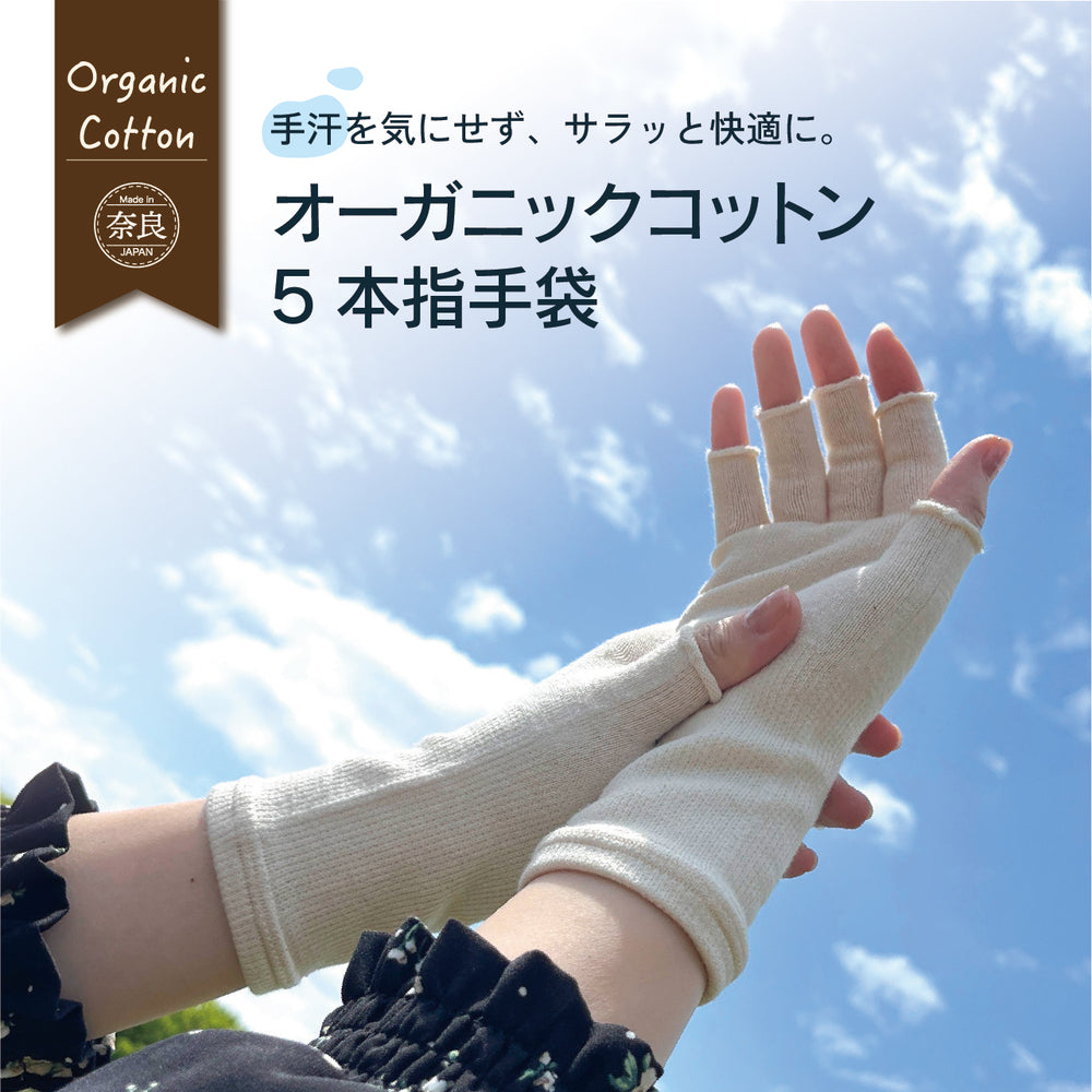 オーガニックコットン５本指手袋(8624)